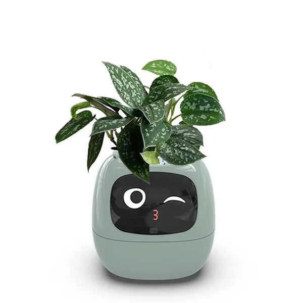 Bloom friend Ivy smart planter plantagottchi PINK