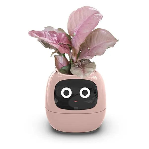 Bloom friend Ivy smart planter plantagottchi PINK