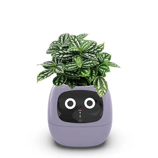 Bloom friend Ivy smart planter plantagottchi PINK