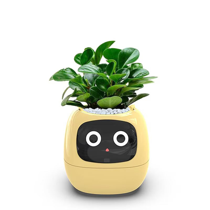 Bloom friend Ivy smart planter plantagottchi PINK