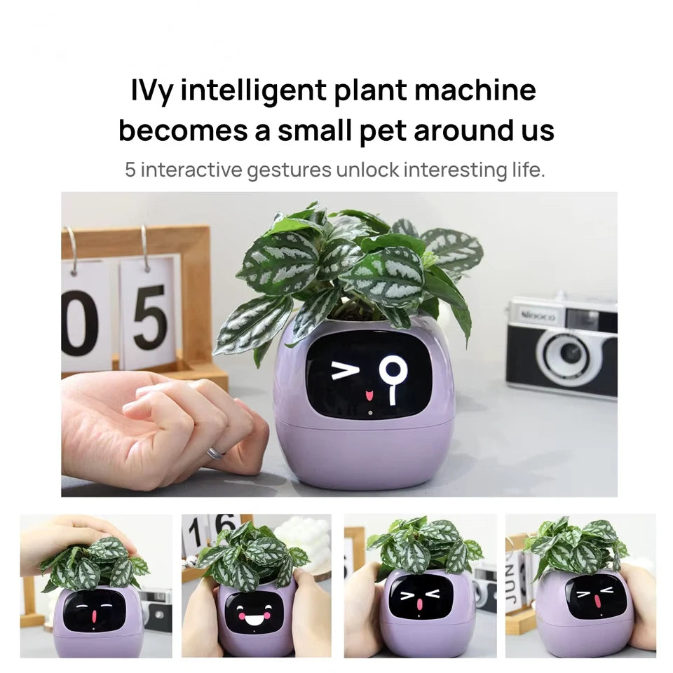 Bloom friend Ivy smart planter plantagottchi PINK